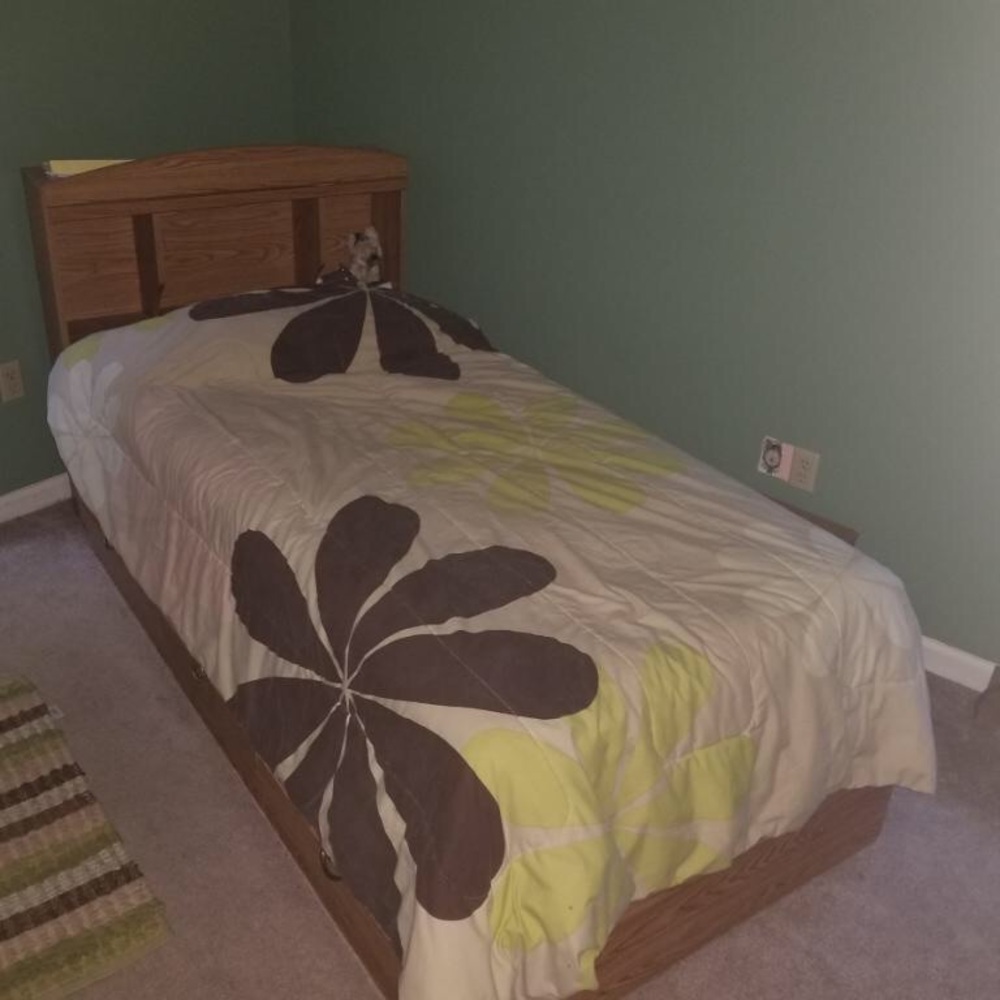 Twin size frame and headboard (mattress if wanted)